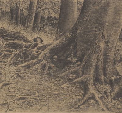 Wald 1, 1967, Kohle/Packpapier, 31,5x49,5 cm